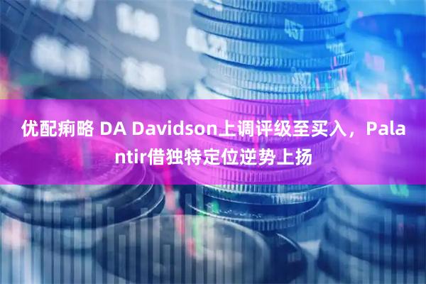 优配痢略 DA Davidson上调评级至买入，Palantir借独特定位逆势上扬