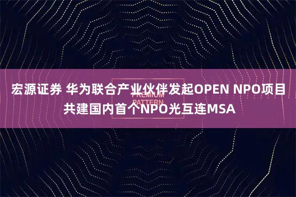 宏源证券 华为联合产业伙伴发起OPEN NPO项目 共建国内首个NPO光互连MSA